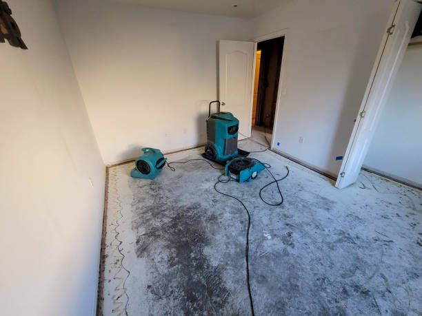 Best Residential water damage restoration  in Tipton, CA