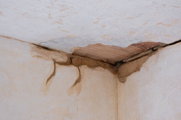 Best Mold removal after water damage  in Tipton, CA