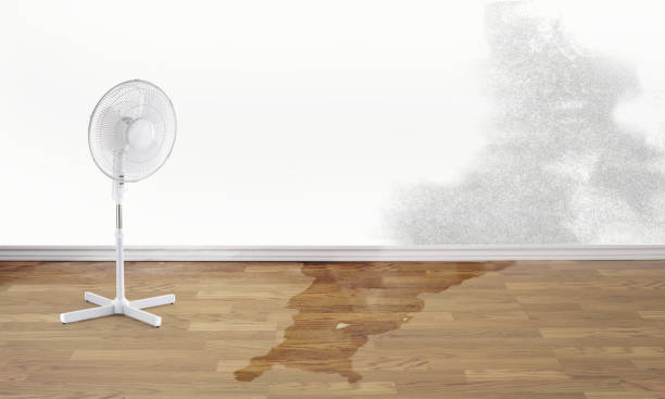 Best Commercial water damage restoration  in Tipton, CA