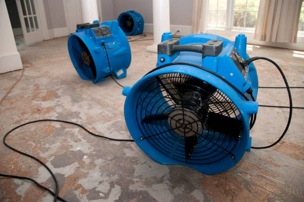 Best Professional water damage repair  in Tipton, CA