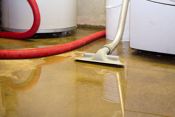 Best 24-hour water damage restoration  in Tipton, CA