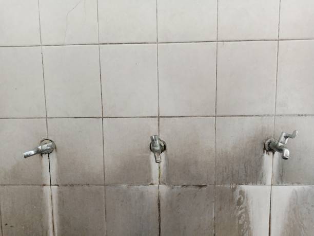 Best Local water damage restoration  in Tipton, CA