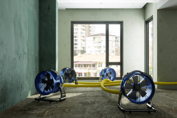 Best 24/7 water damage repair  in Tipton, CA